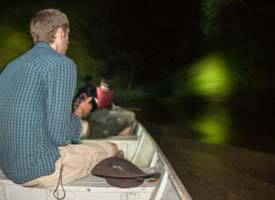 ACTIVITIES – Nocturnal Wildlife Spotting